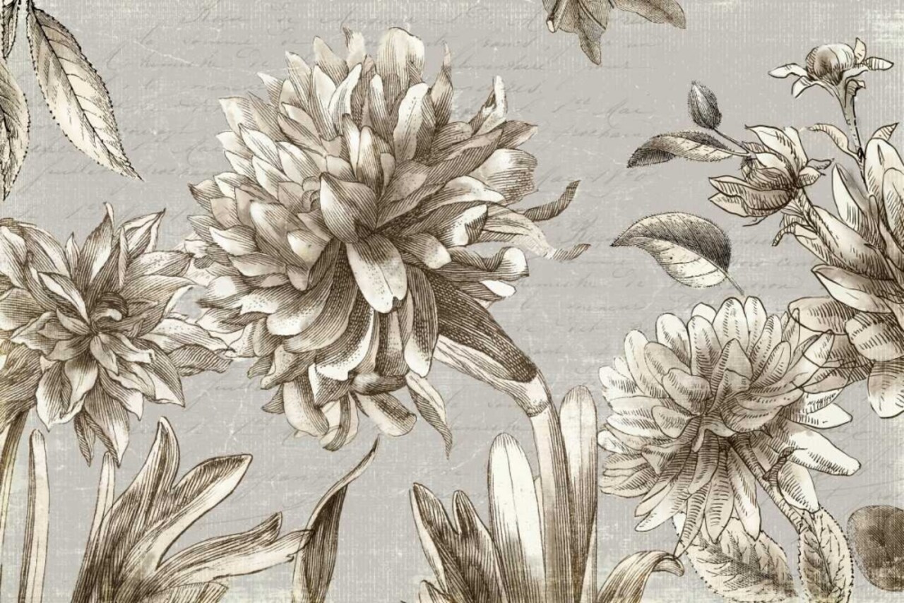 Vintage Blooms Poster Print by PI Studio - Item # VARPDXPX268A